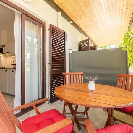 Vladan With Terrace Apartment *